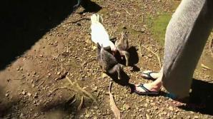 You take Kyler on the road for a day trip.