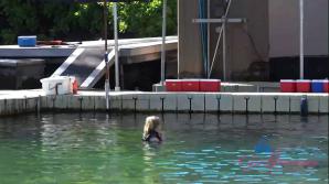 Paris White Big Island Part 4